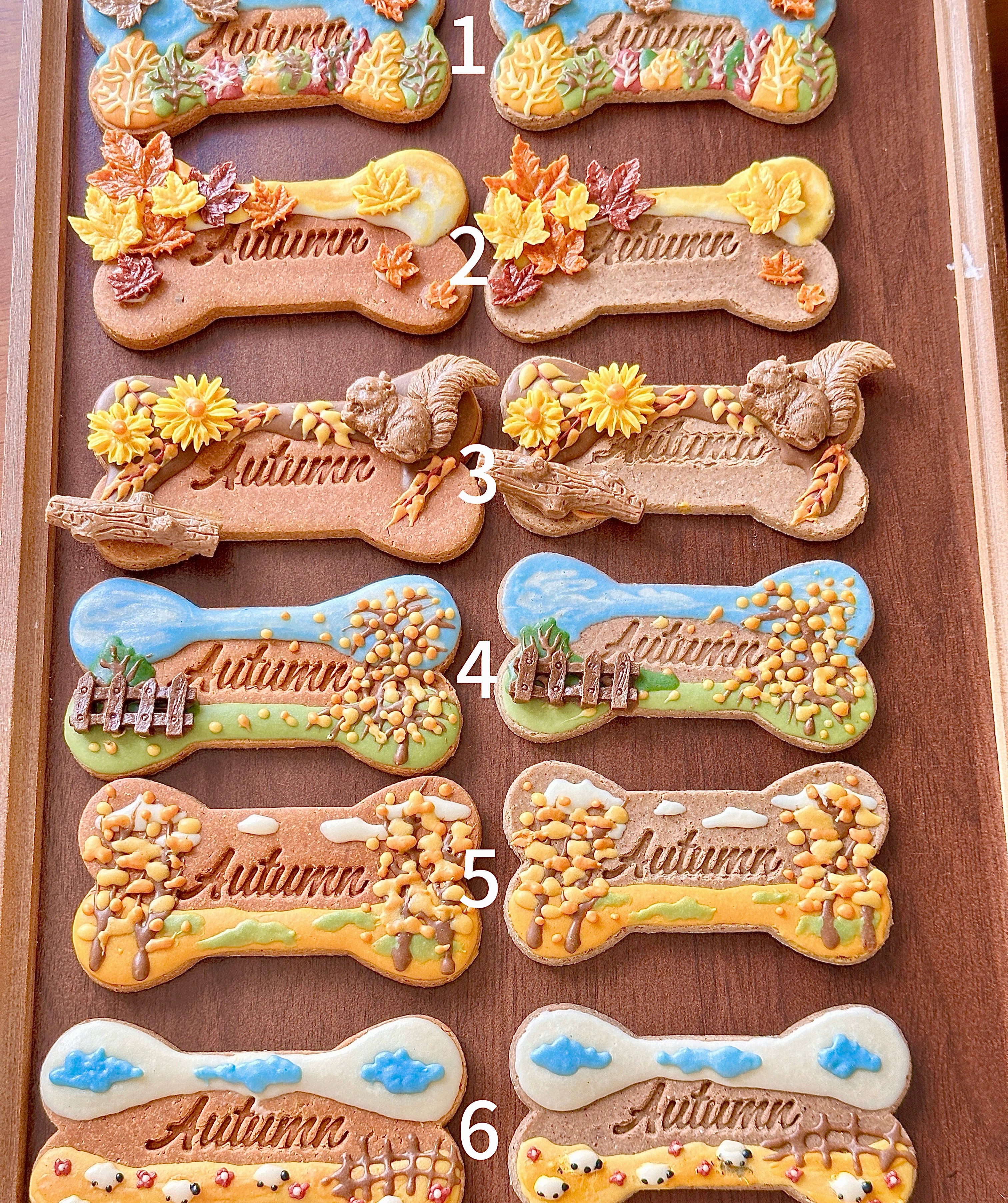 Handmade Pet Topping Biscuits - Autumn Series 🍂
