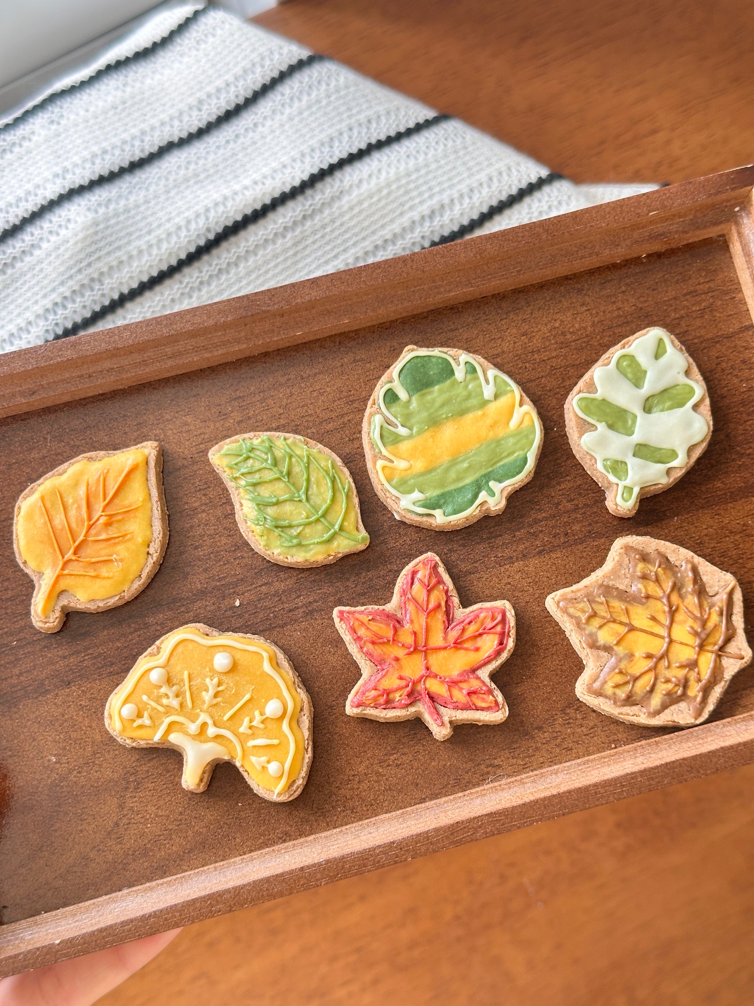 Handmade Pet Topping Biscuits - Autumn Series 🍂
